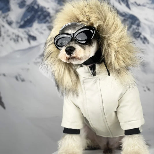 manteau pour chien - Mon meilleur amis