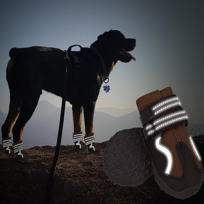 Chaussure pour Chien - DogBoots™ - Marron - Mon meilleur amis