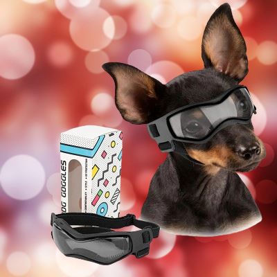 Lunettes pour Chien - DogGoggles™