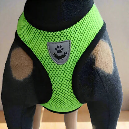 Harnais Petit Chien - DogHarnessLeadLeash™ - Vert - Mon meilleur amis