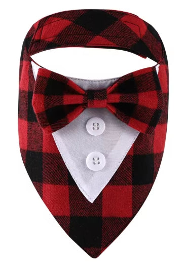 Bandana Chien | StylePaws - Mon meilleur amis