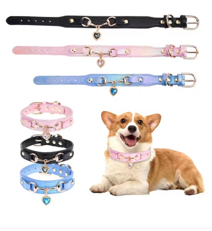 Collier pour Chien | Élégant et Résistant - Mon meilleur amis