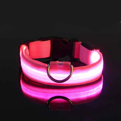 Collier Chien - LEDCollarDog™ - Rose - Mon meilleur amis