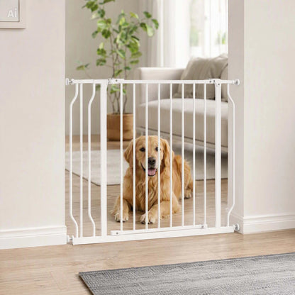 Barriere chien