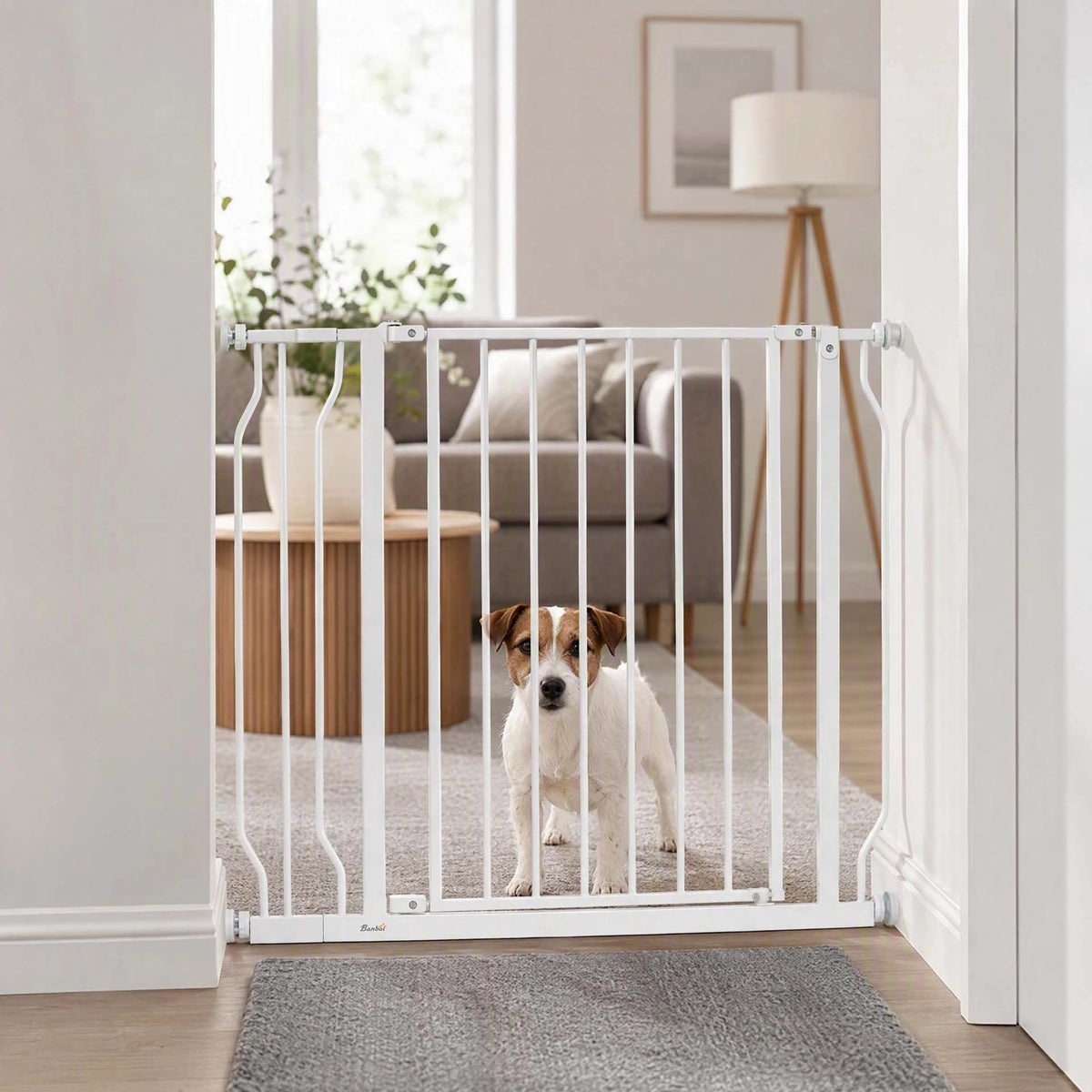 Barriere chien