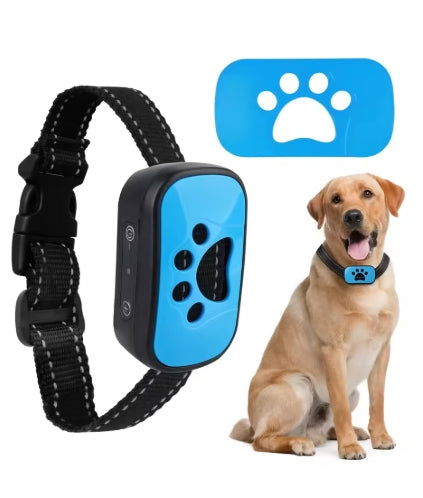 Collier de dressage pour Chien | Rechargeable 3 modes - Mon meilleur amis