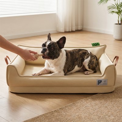  Canapé pour chien 