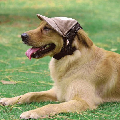 Casquette chien​