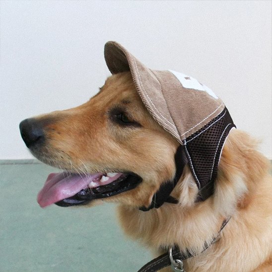 Casquette chien​
