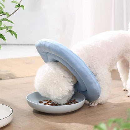 Collerette chien