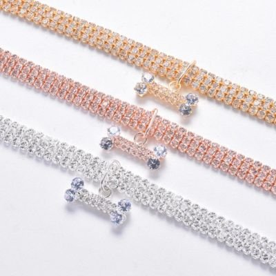 Collier chiot