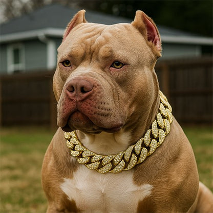 Collier pour chien