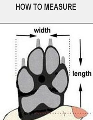 comment le pied de ton chien