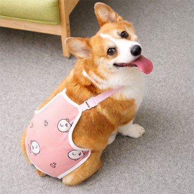 Culotte pour chien 