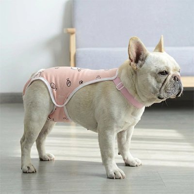 Culotte pour chien 