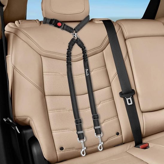 Double laisse pour chien