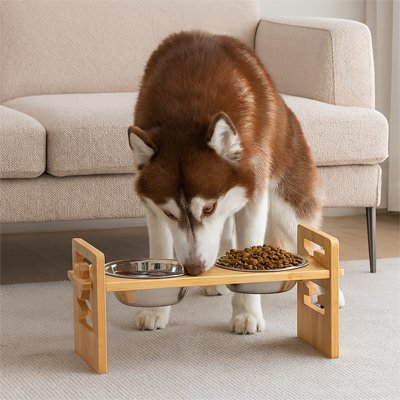 Gamelle chien surélevée