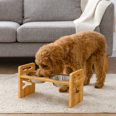 Gamelle chien surélevée