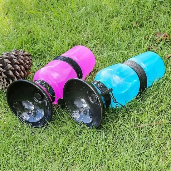 Gourde pour chien​
