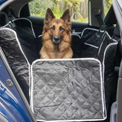 Housse voiture chien