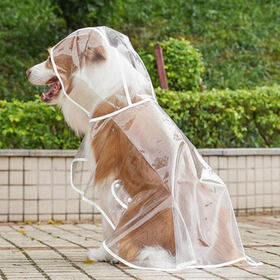Imperméable pour chien