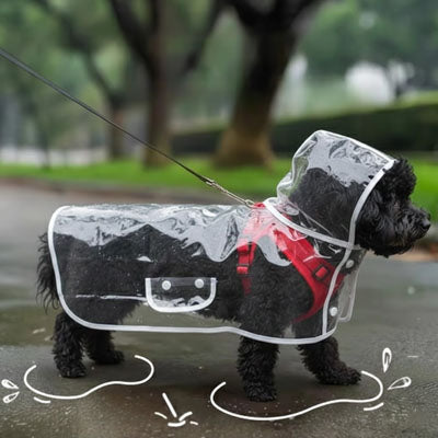 Imperméable pour chien