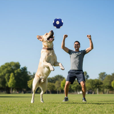 je saute pour ma balle