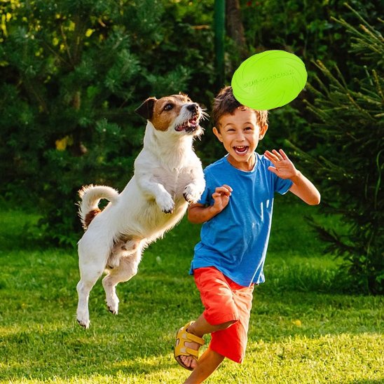 Jouet chien