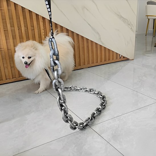 Laisse chien