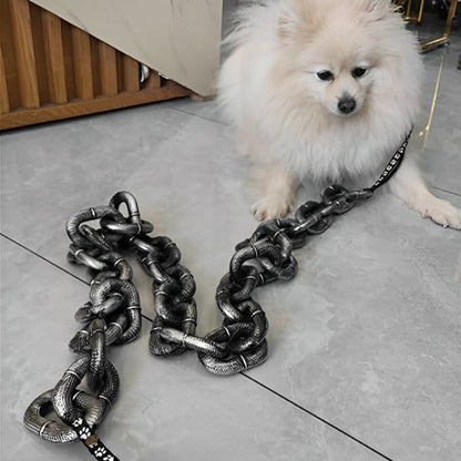 Laisse chien