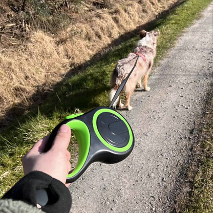 Laisse pour Chien