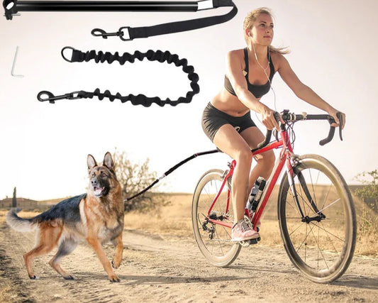Laisse pour chien vélo | FreeRide