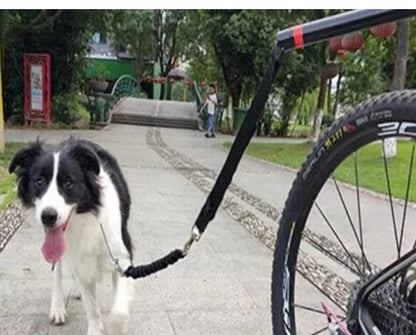Laisse pour chien vélo | FreeRide - Mon meilleur amis