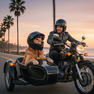 Casque moto pour chien | PetSafe Rider - Mon meilleur amis