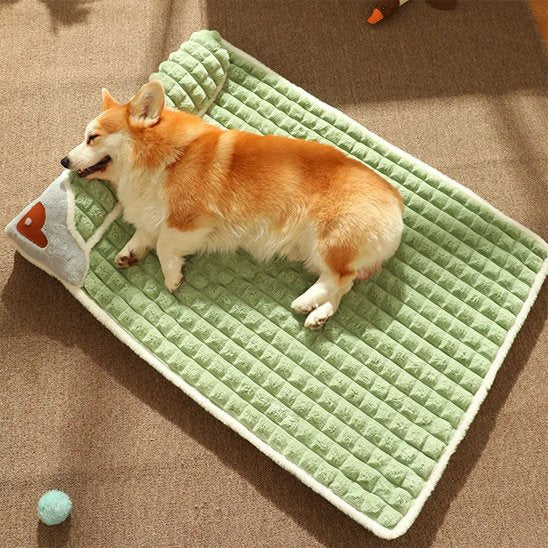 Lit pour chien