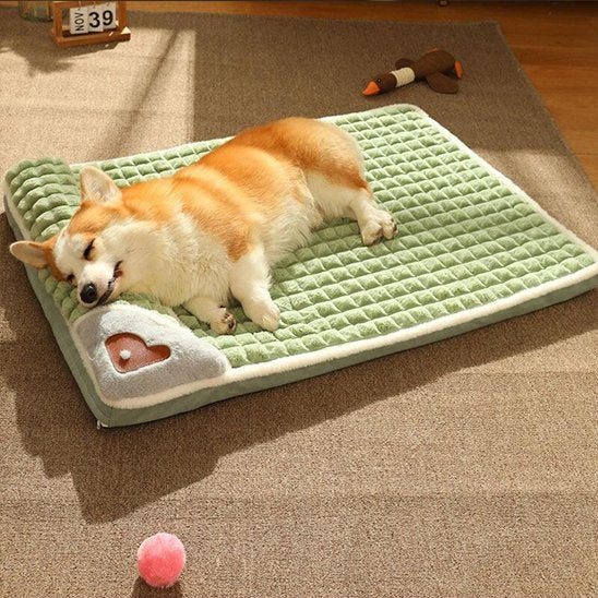 Lit pour chien