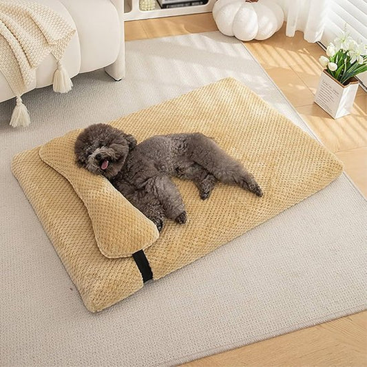 Lit pour chien