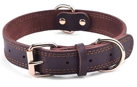 Collier chien | Résistant et Confortable - Mon meilleur amis