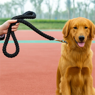 Laisse pour Chien | UltraFlex Écologique - Mon meilleur amis