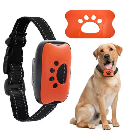 Collier de dressage pour Chien | Rechargeable 3 modes - Mon meilleur amis