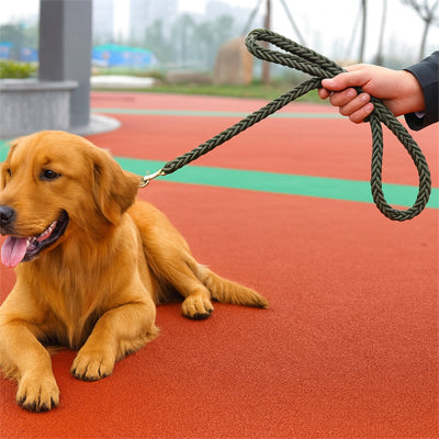 Laisse pour Chien | UltraFlex Écologique - Mon meilleur amis