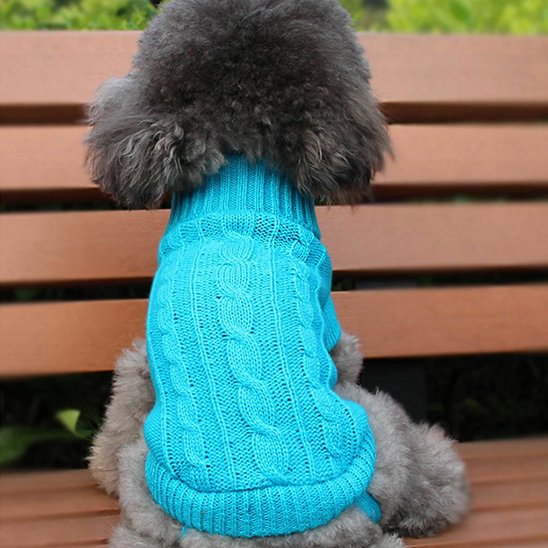 Pull pour chien 