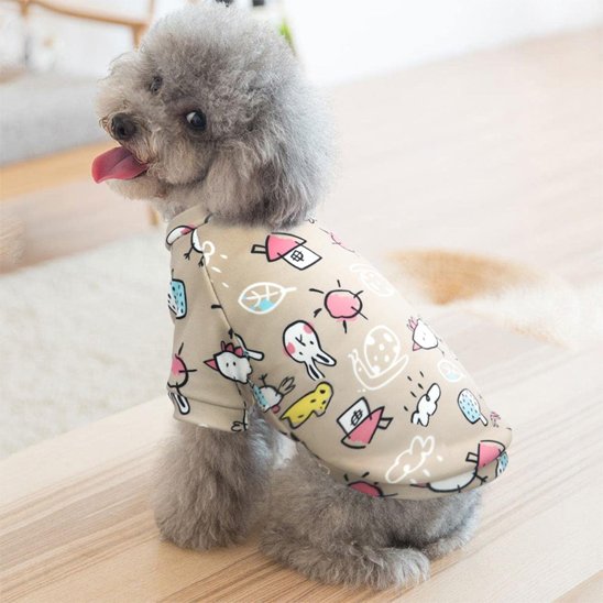 Pull pour chien