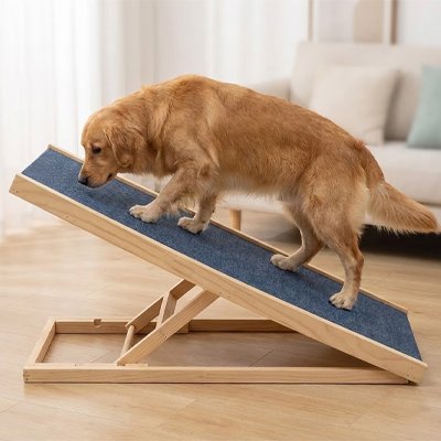 Rampe pour chien 