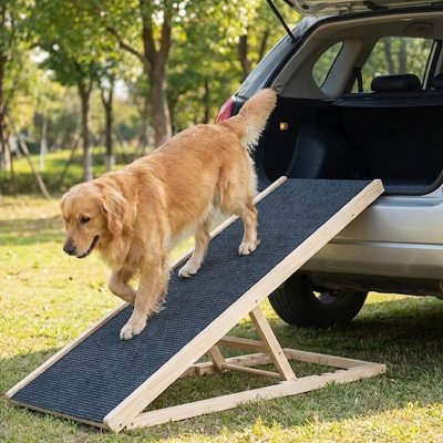 Rampe pour chien 