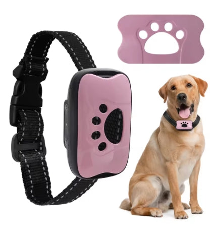 Collier de dressage pour Chien | Rechargeable 3 modes - Mon meilleur amis