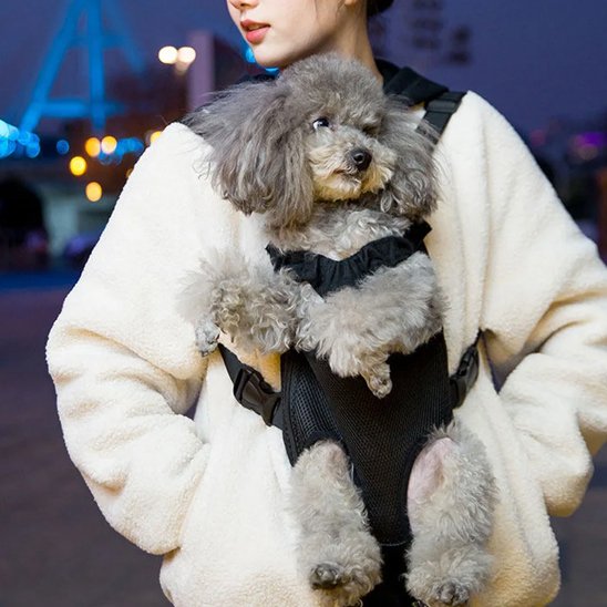 Sac de transport chien