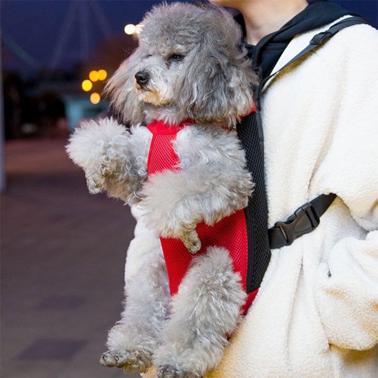 Sac de transport chien