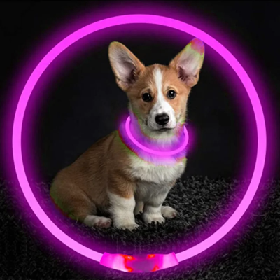 Collier Chien - DogCollarLight™ - Rose - Mon meilleur amis