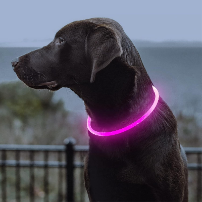 Collier Chien - DogCollarLight™ - Rose - Mon meilleur amis